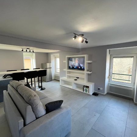 Appartement Familiale Premium : Proche Gare De Belfort Extérieur photo